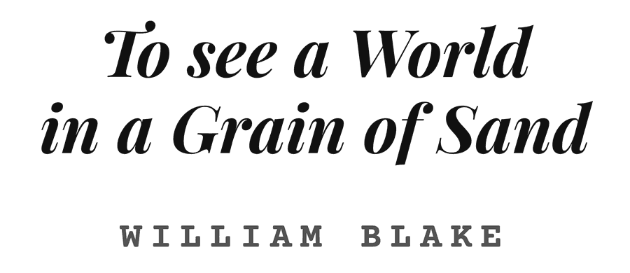 To see a World in a Grain of Sand
