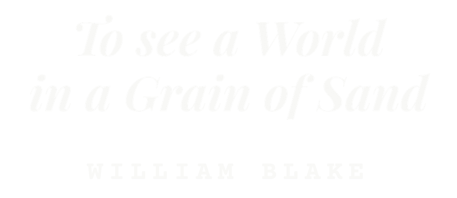 To see a World in a Grain of Sand