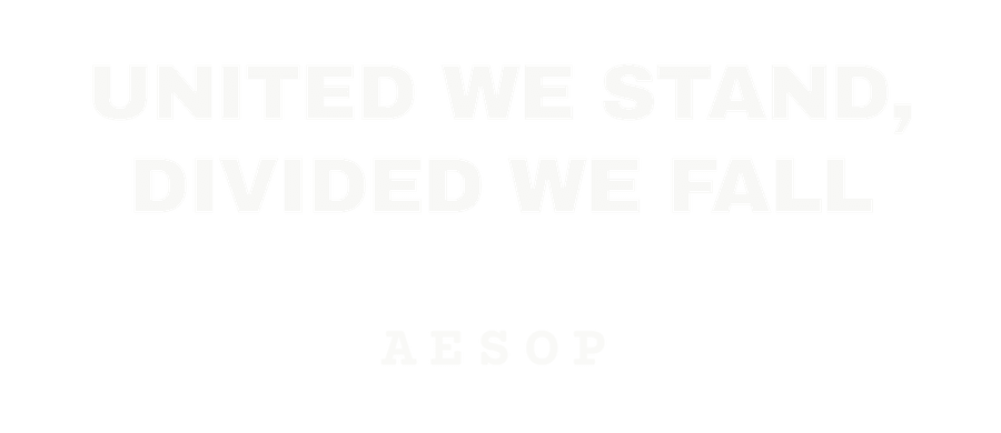 United we stand, divided we fall