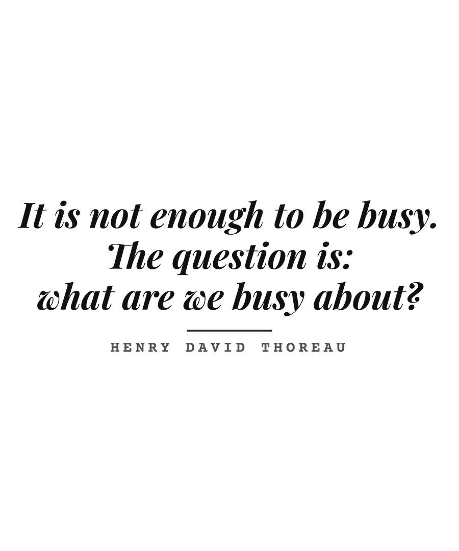 It is not enough to be busy. The question is: what are we busy about?