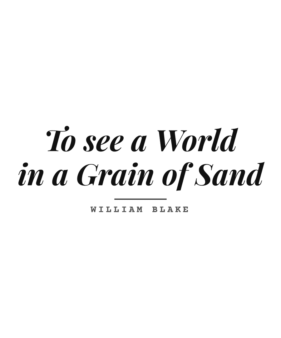 To see a World in a Grain of Sand