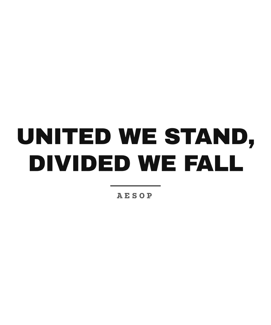 United we stand, divided we fall