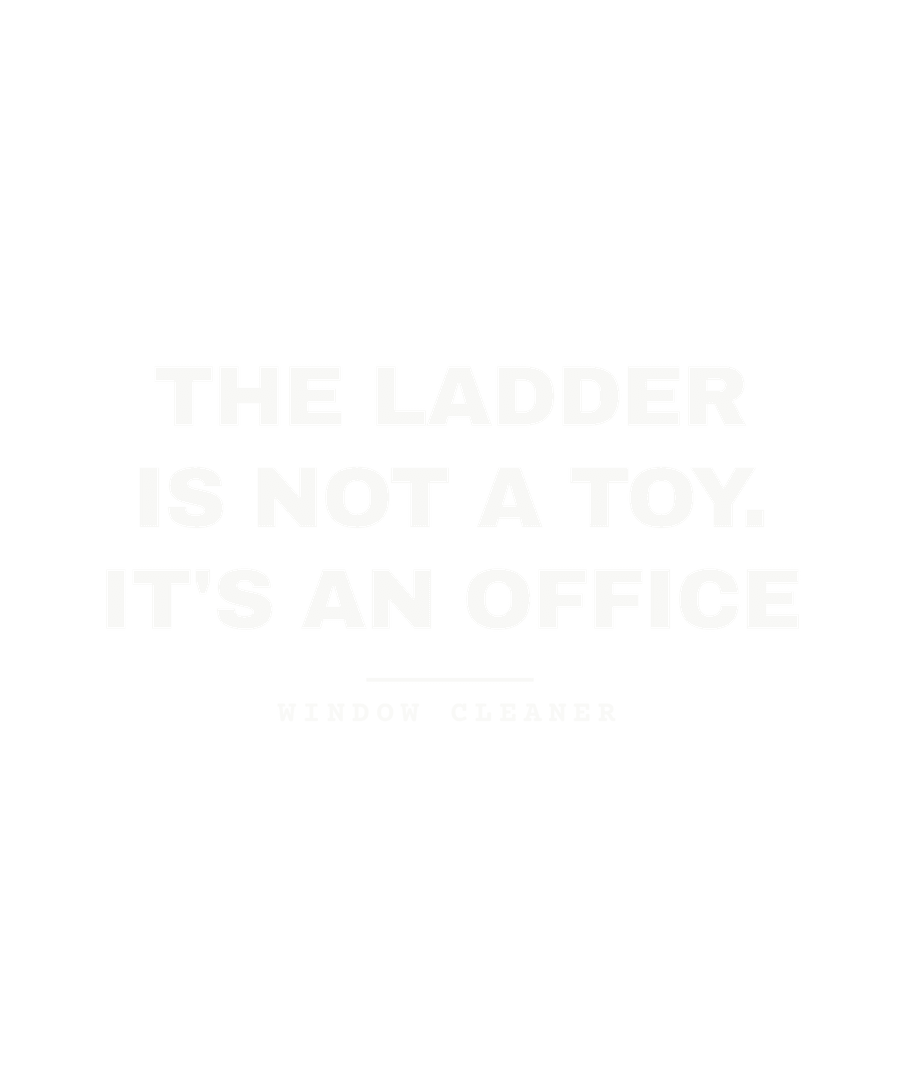 The ladder is not a toy. It's an office